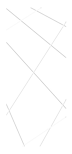 ФЛ 291