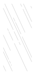 ФЛ 773