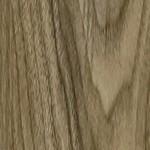 LW 668-SFT